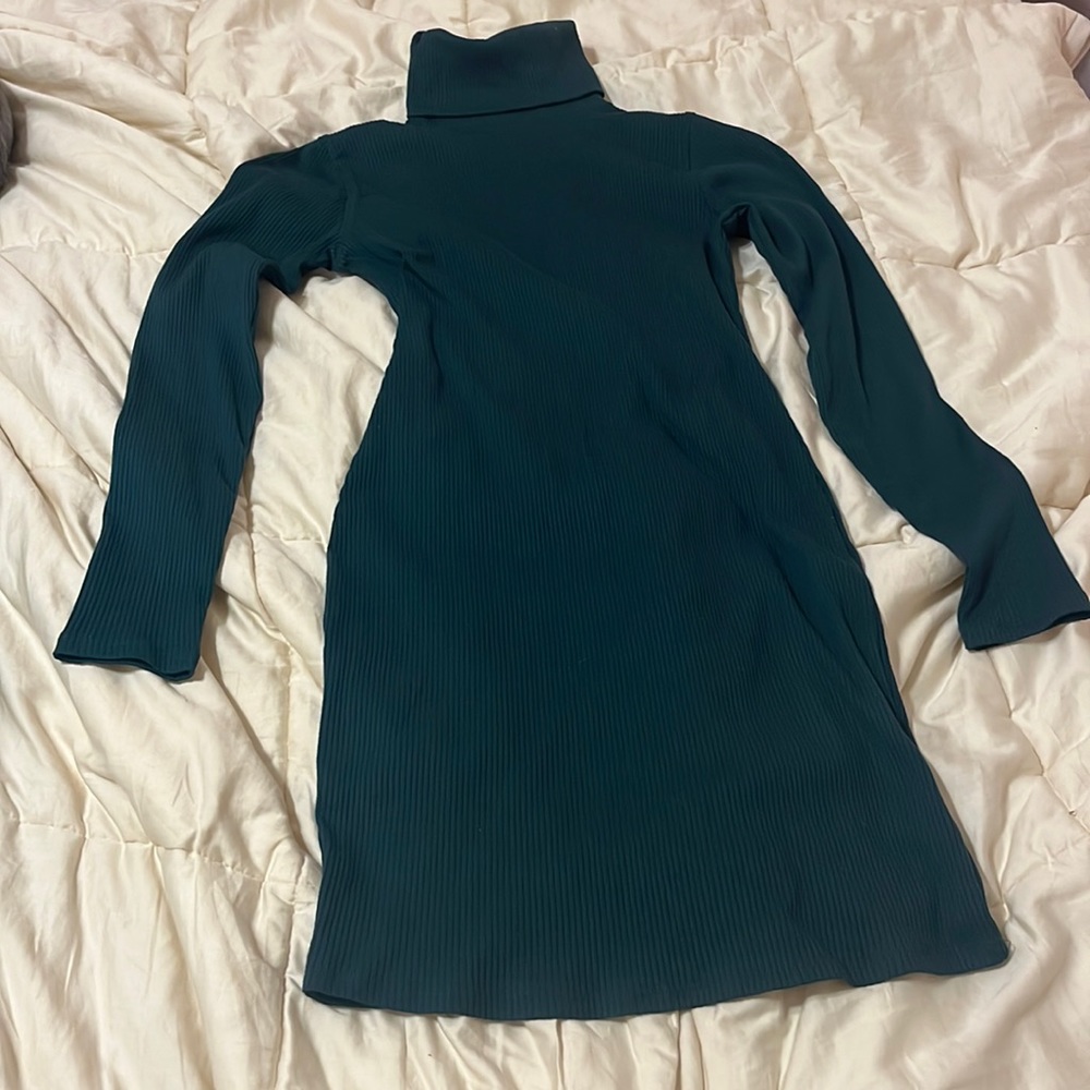 Wild Fable Green Turtle Neck Dress